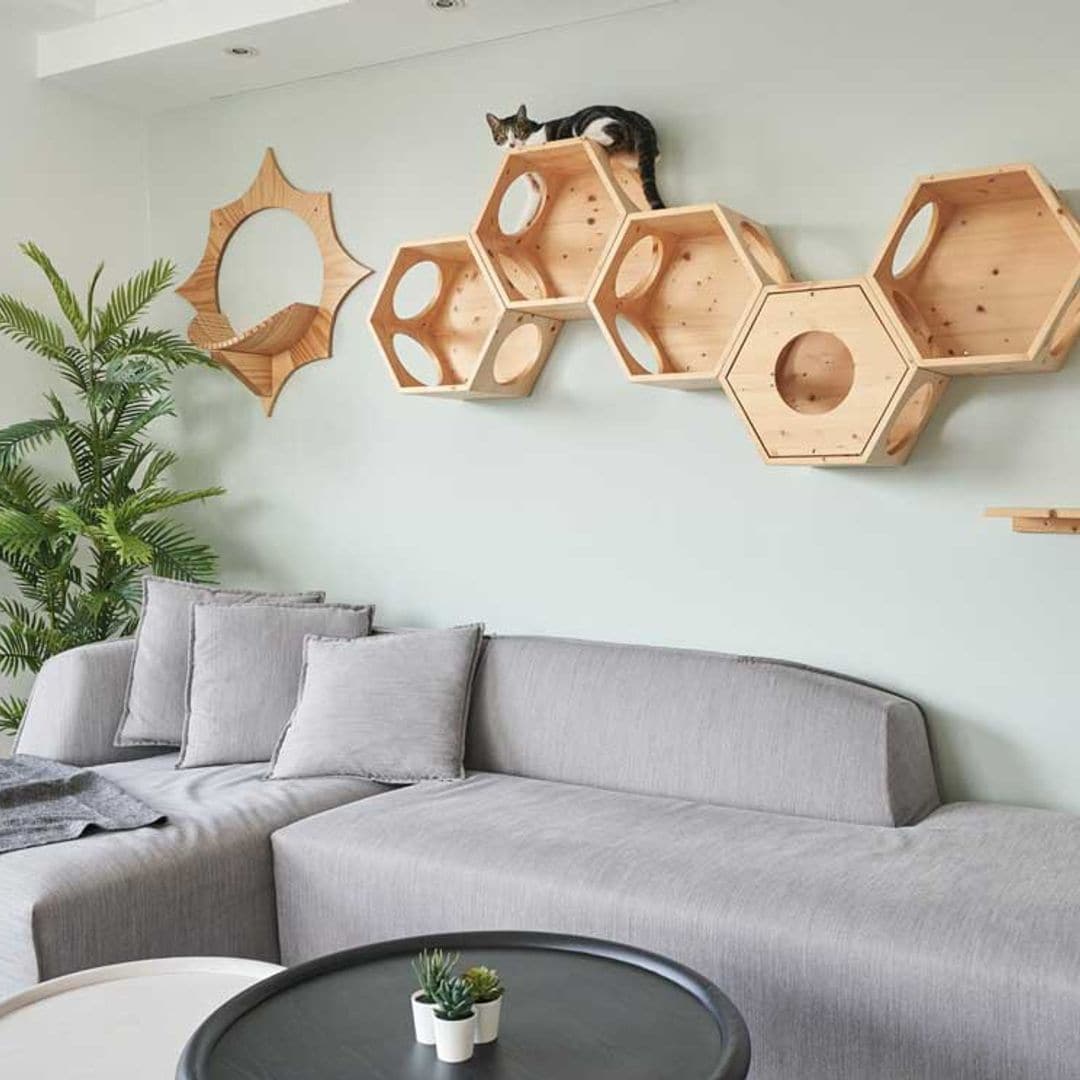 Muebles y accesorios para tener una casa 'pet friendly'