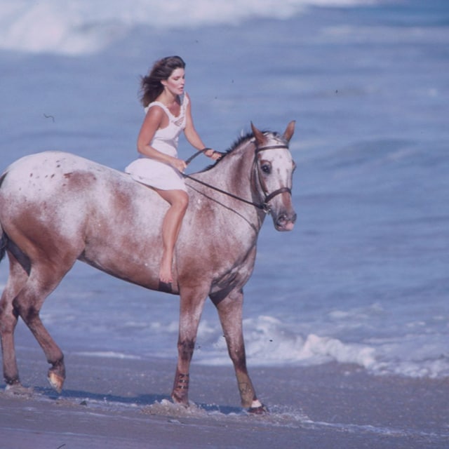 priscilla portada