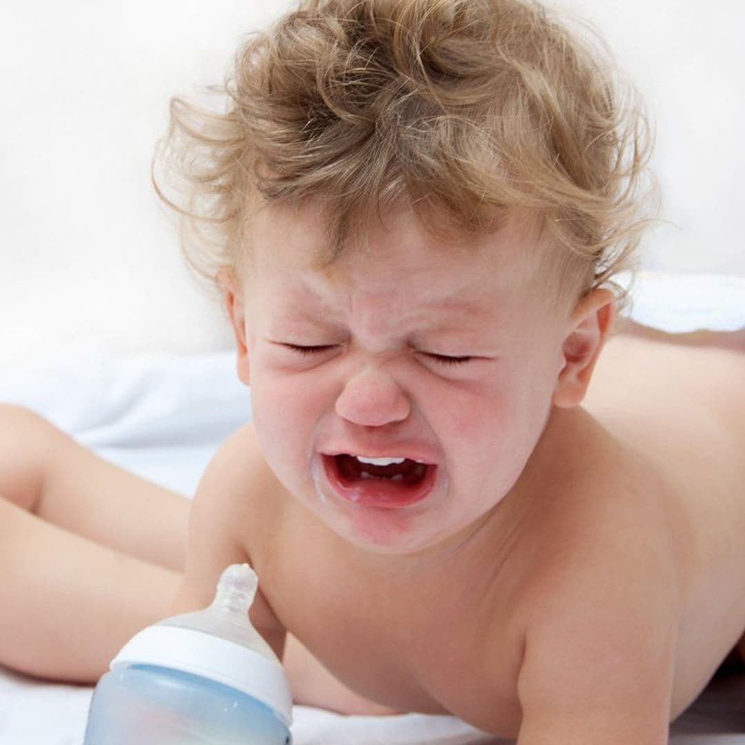 Tipos de destete y cómo abordarlo con éxito