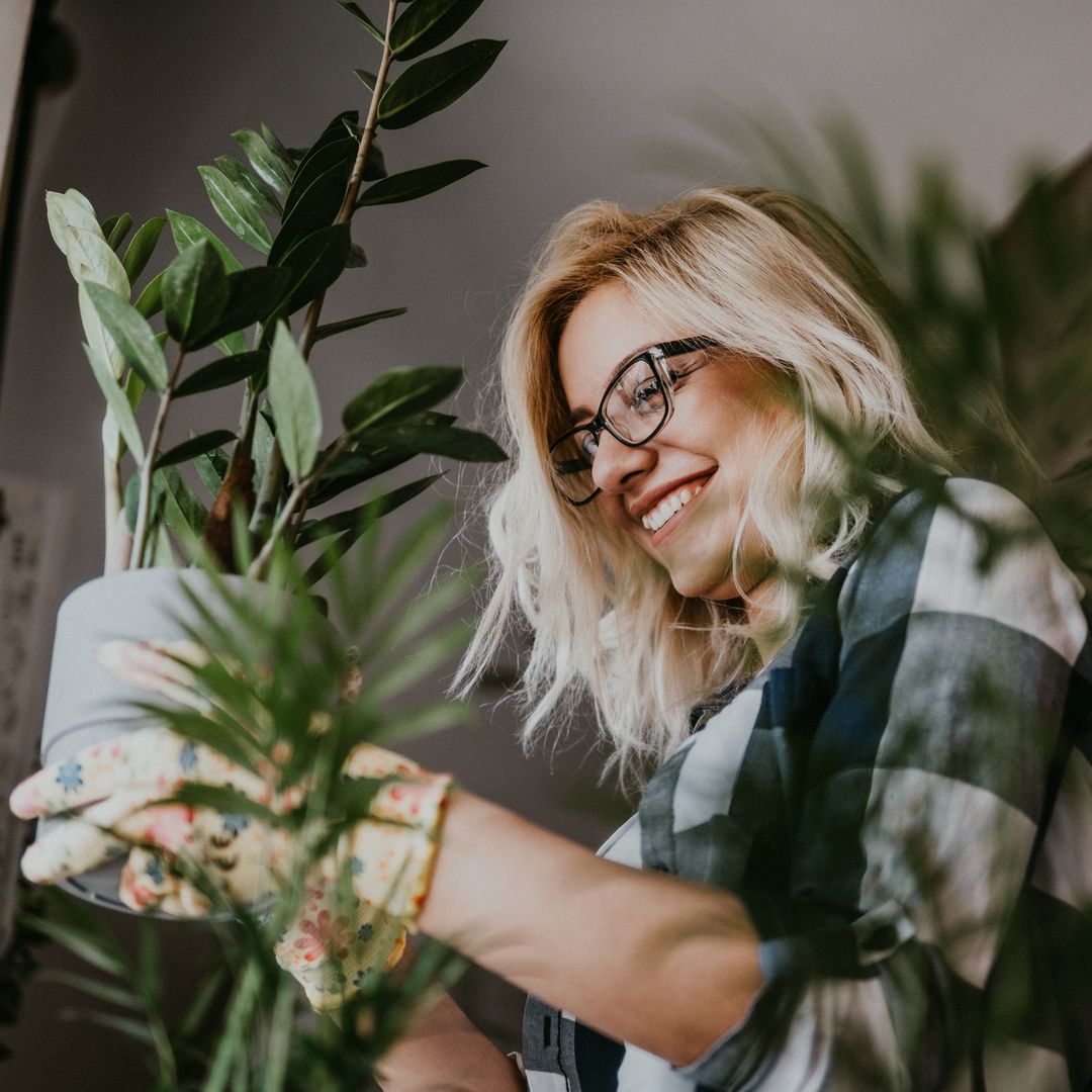 8 plantas para principiantes que te harán enamorarte de la jardinería
