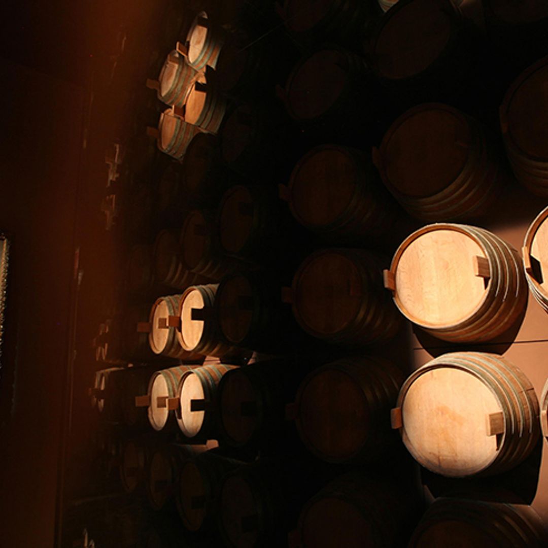 Es tiempo de vendimia, conoce estos museos del vino