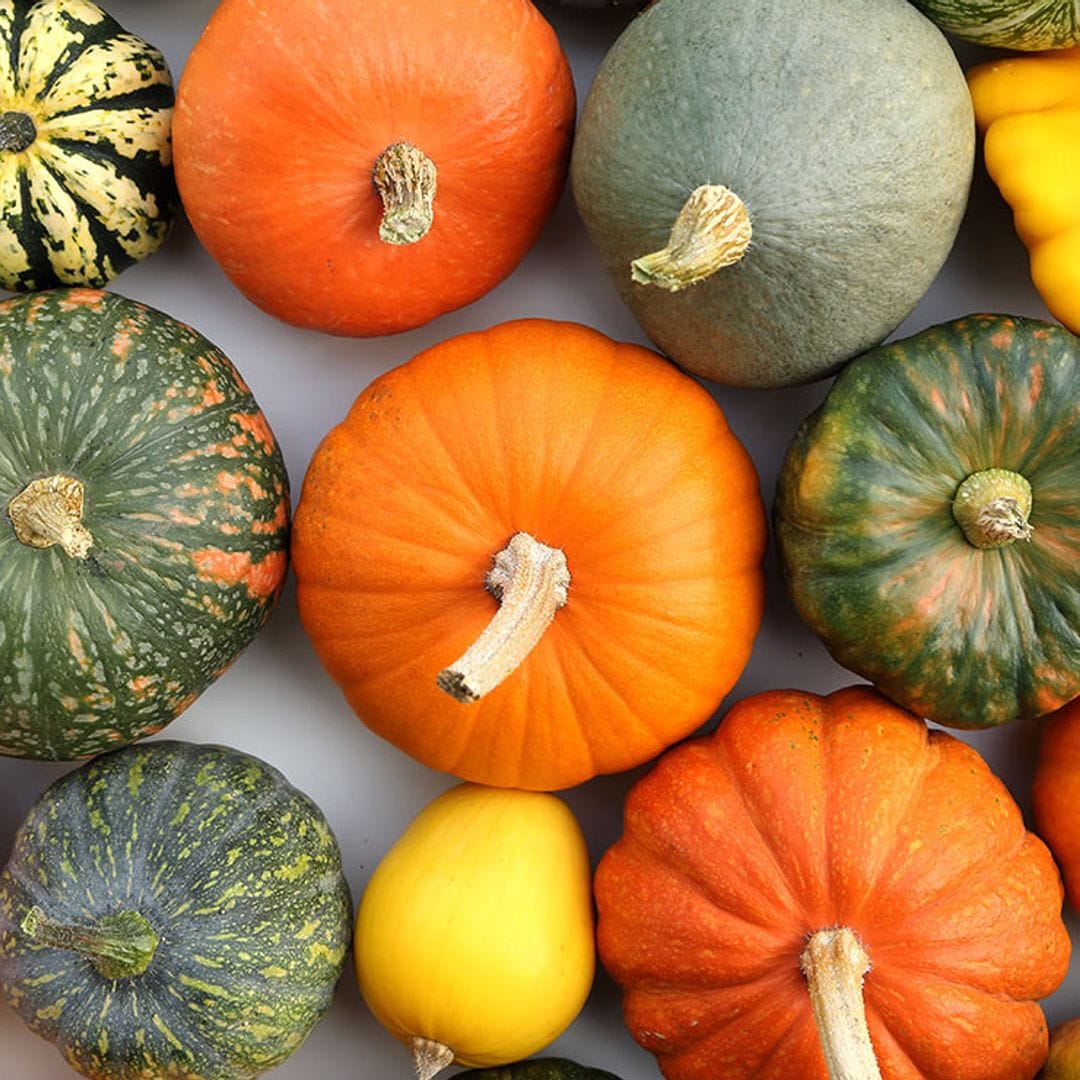 Estas son las 10 mejores variedades de calabaza para cocinar