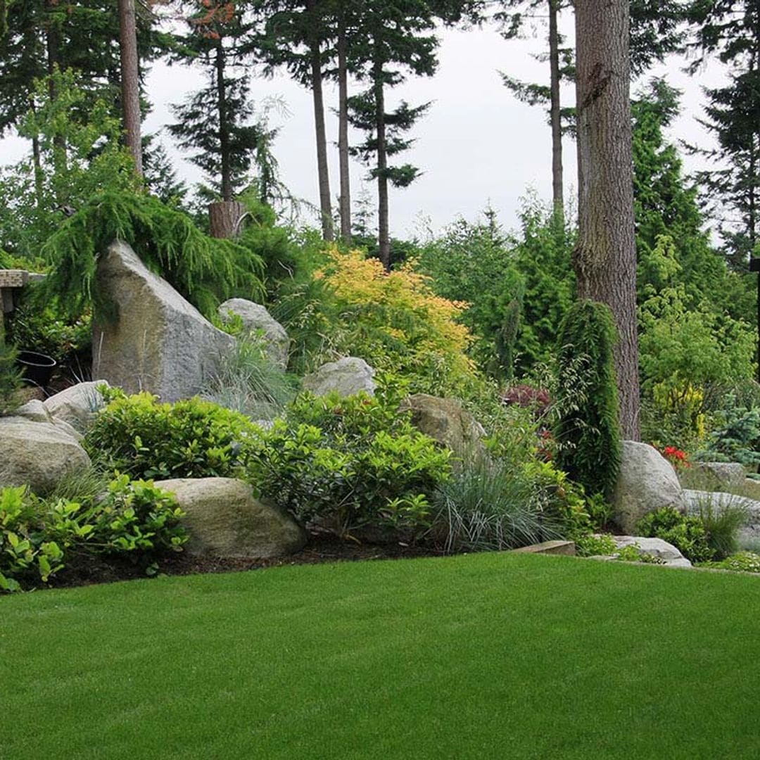 10 claves que funcionan para diseñar y construir un jardín de rocas
