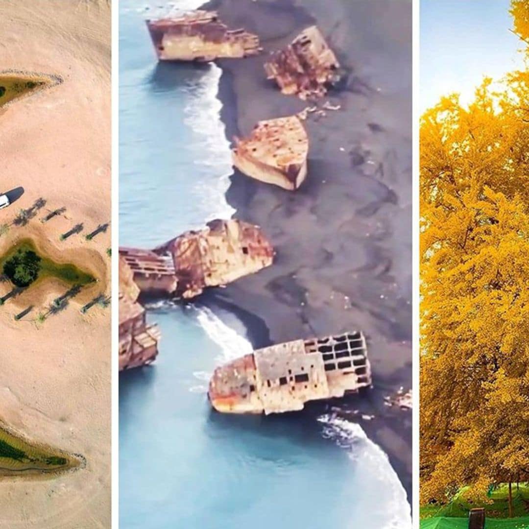 Un oasis de ensueño en pleno desierto, un ‘gingko’ inmortal y unos barcos de la Segunda Guerra Mundial que emergen del mar