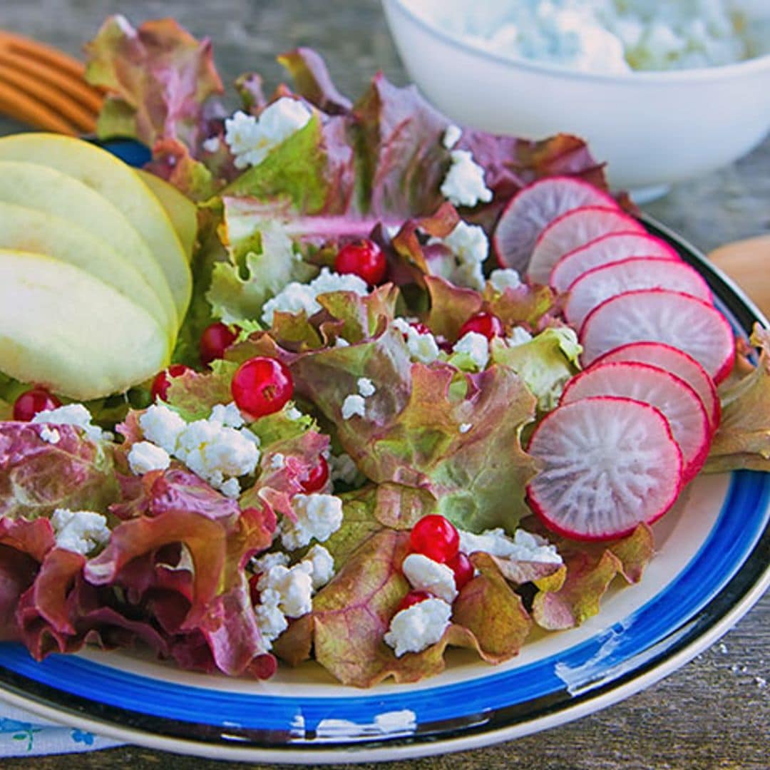 Ensalada de 'lollo rosso', manzana, rábano y queso 'ricotta'