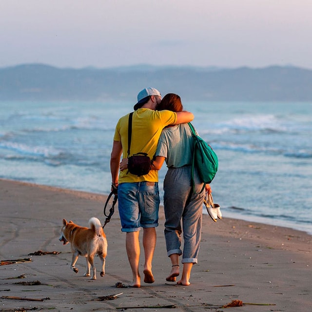 viajar con tu mascota