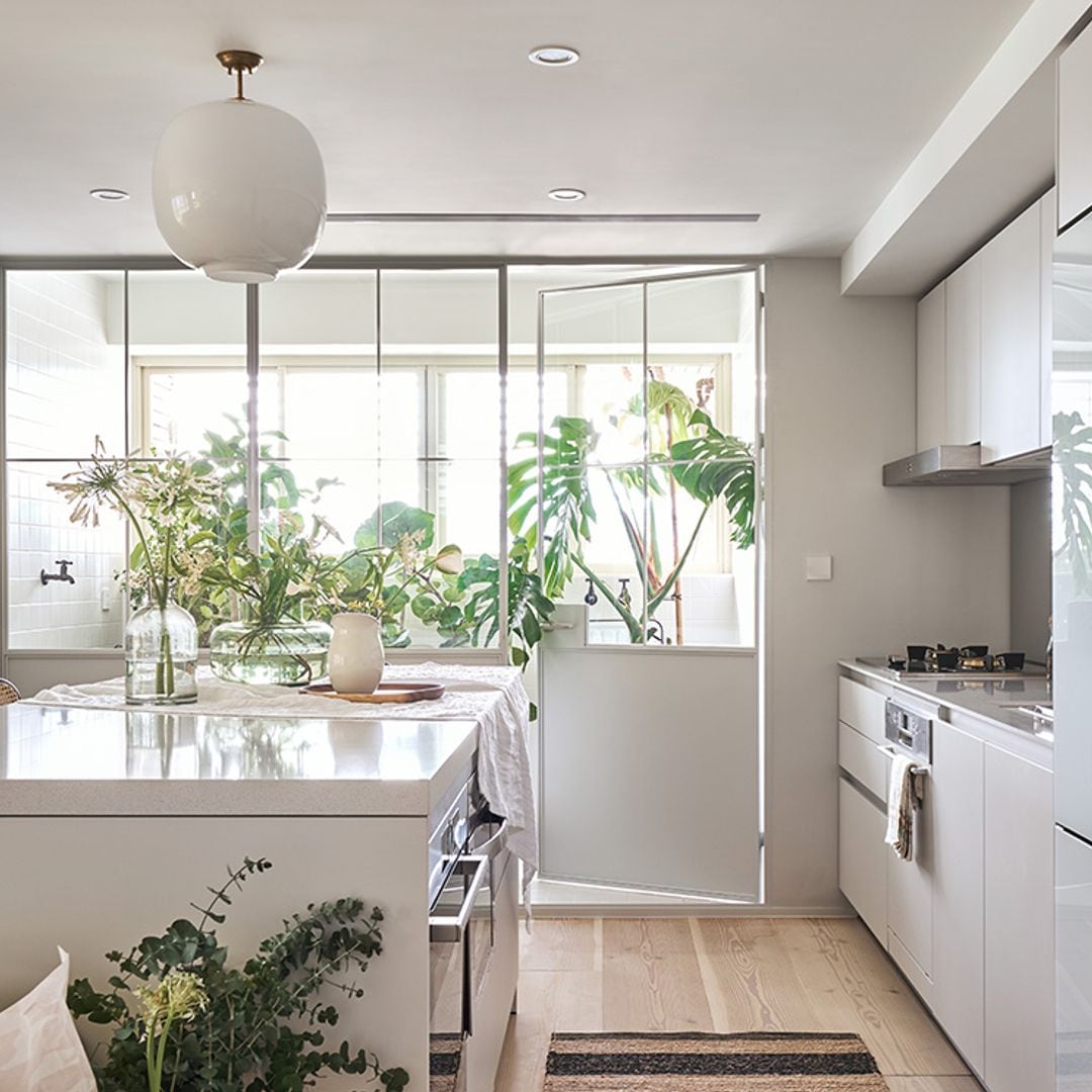Decora la casa con plantas: desde las 'XXL', que son tendencia, a otras refrescantes ideas