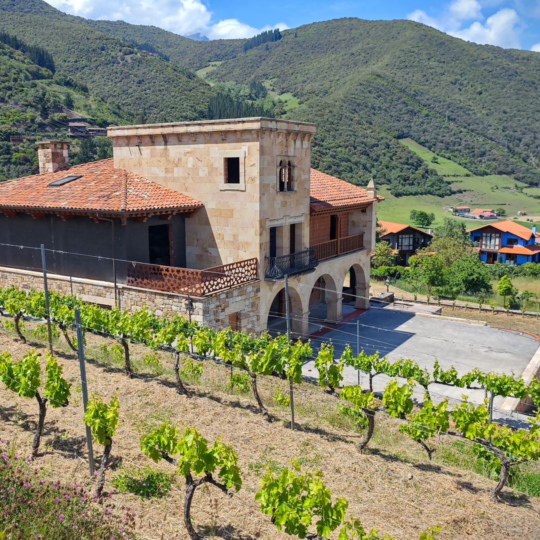 Bodegas Cayo, Cabezón de Liébana, Cantabria