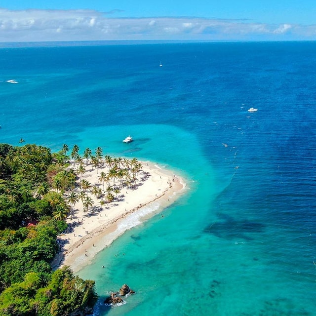 experiencias samana republica dominicana