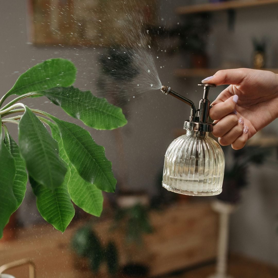 Los trucos más eficaces para eliminar los malos olores en casa sin ambientadores eléctricos