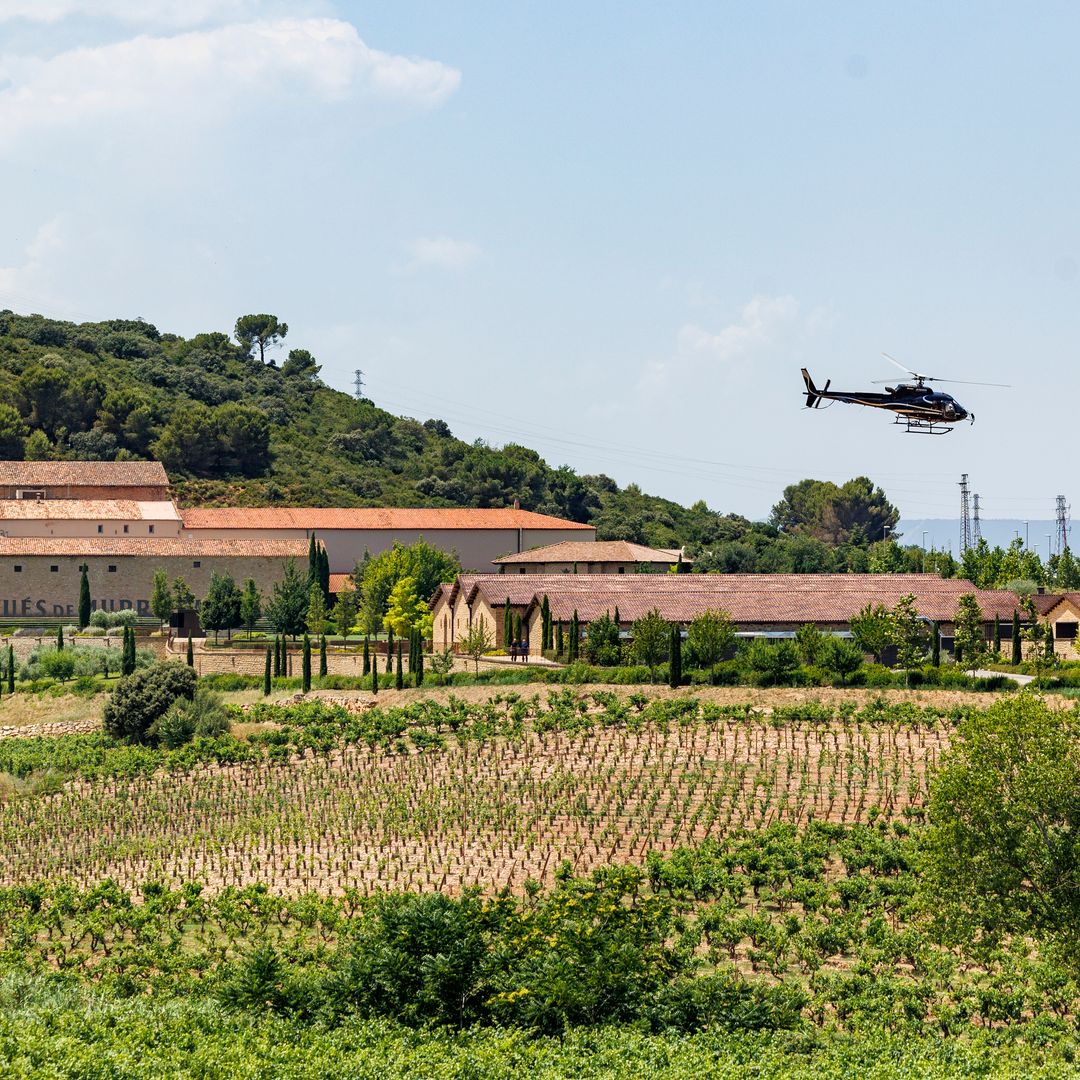 Vendimia, pisa de la uva, vuelo en helicóptero o yoga entre viñas: 7 experiencias de enoturismo para amantes del vino