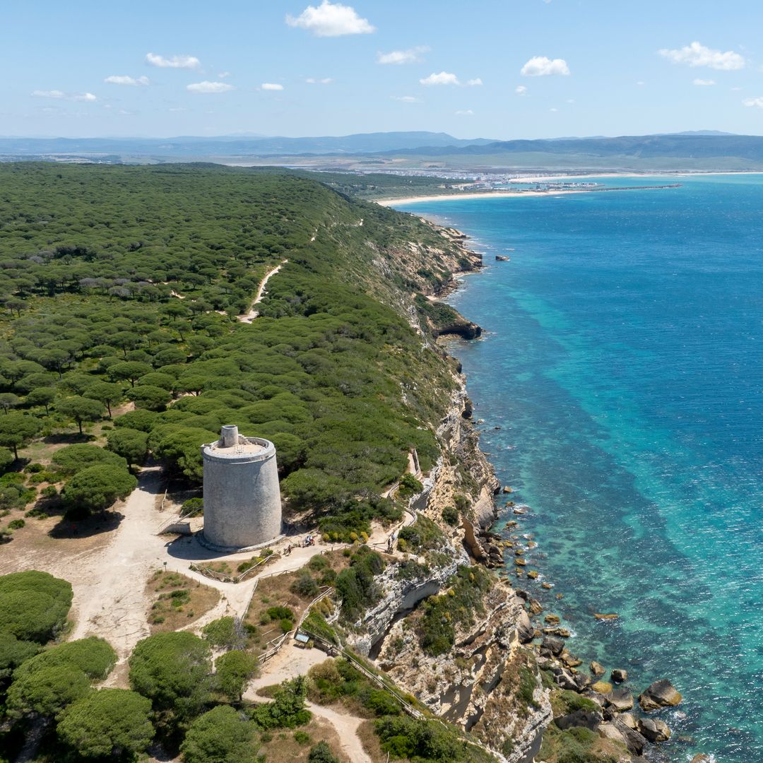 Panorámica del Parque Natural de la Breña y Marismas del Barbate