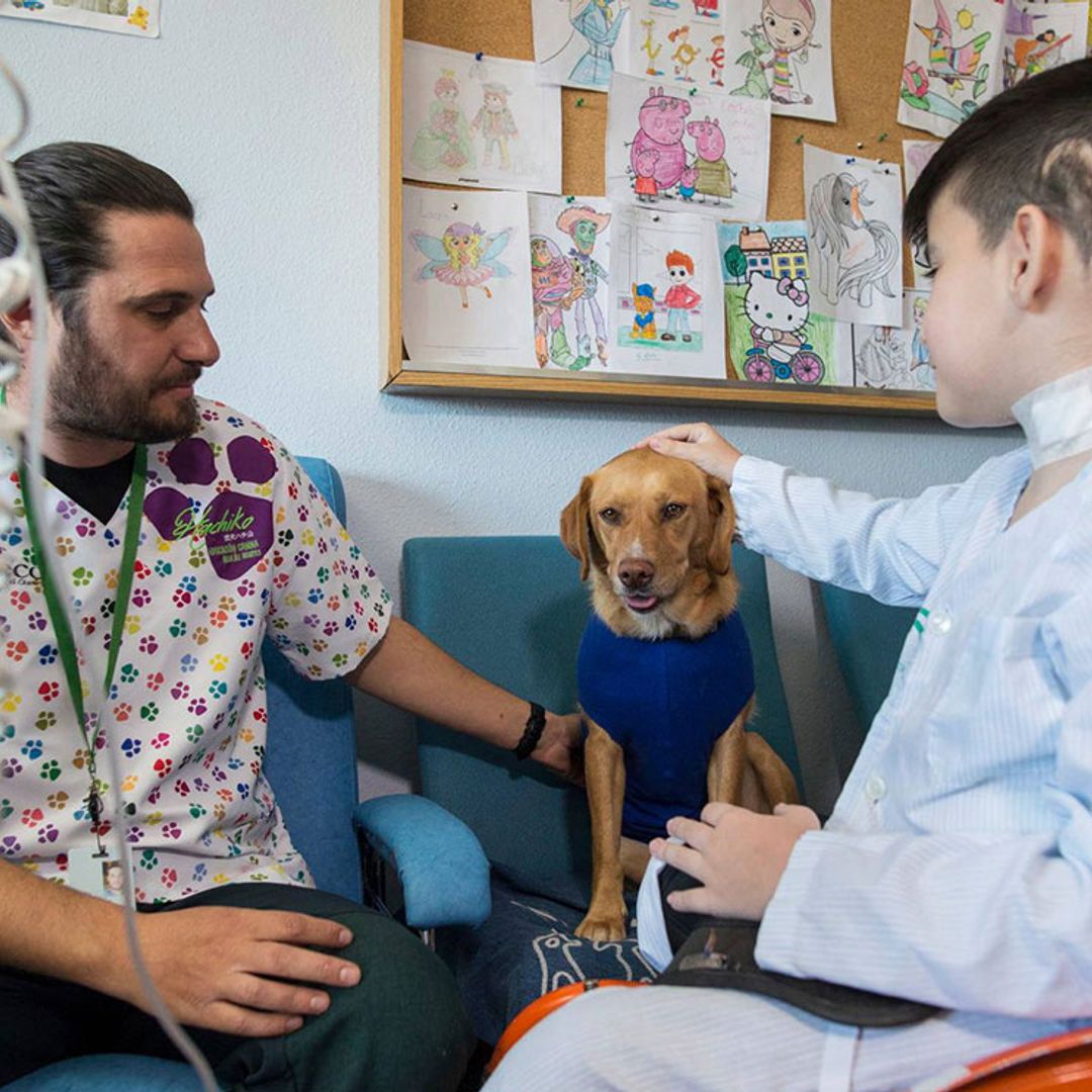 Perros terapeutas, un proyecto pionero en el hospital Materno Infantil de Granada