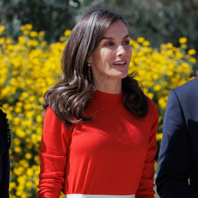 Reina Letizia