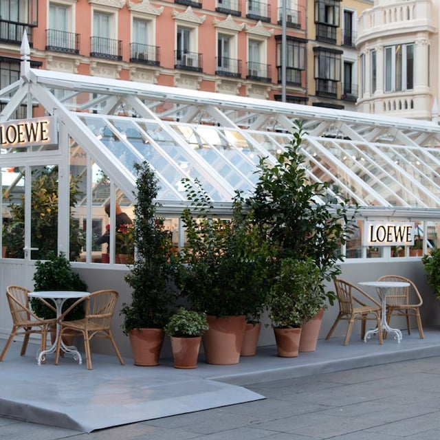 loewe popup