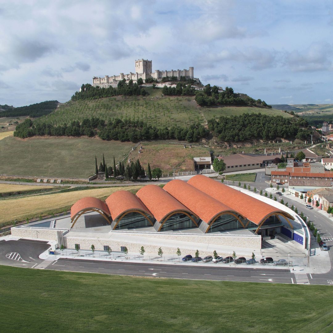Así es la bodega que ha recibido el Premio Extraordinario Alimentos de España 2026: innovación y casi 100 años haciendo historia en el vino