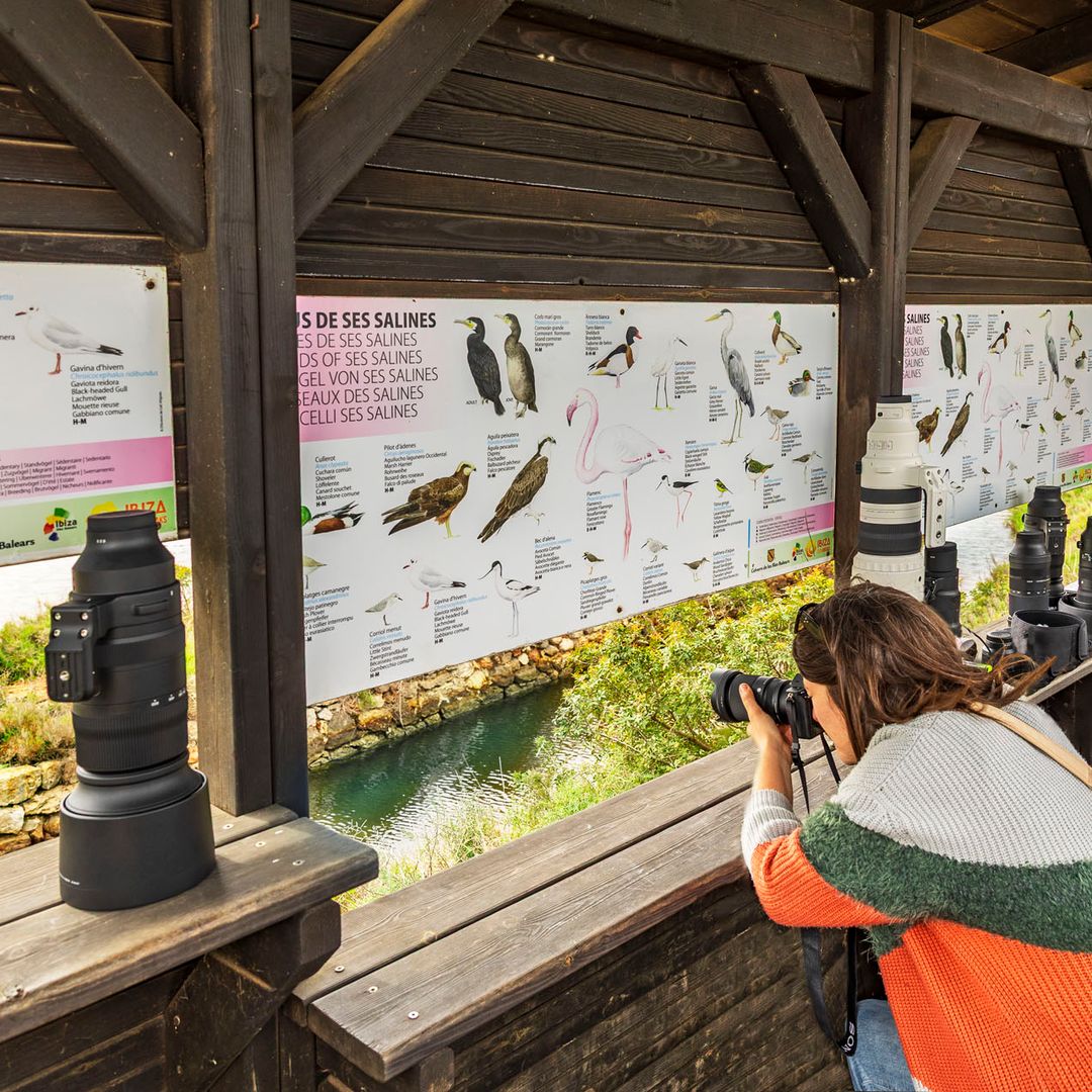 Observación de aves, Ibiza