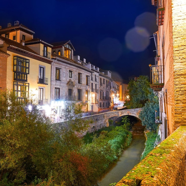 Carrera del Darro, Granada