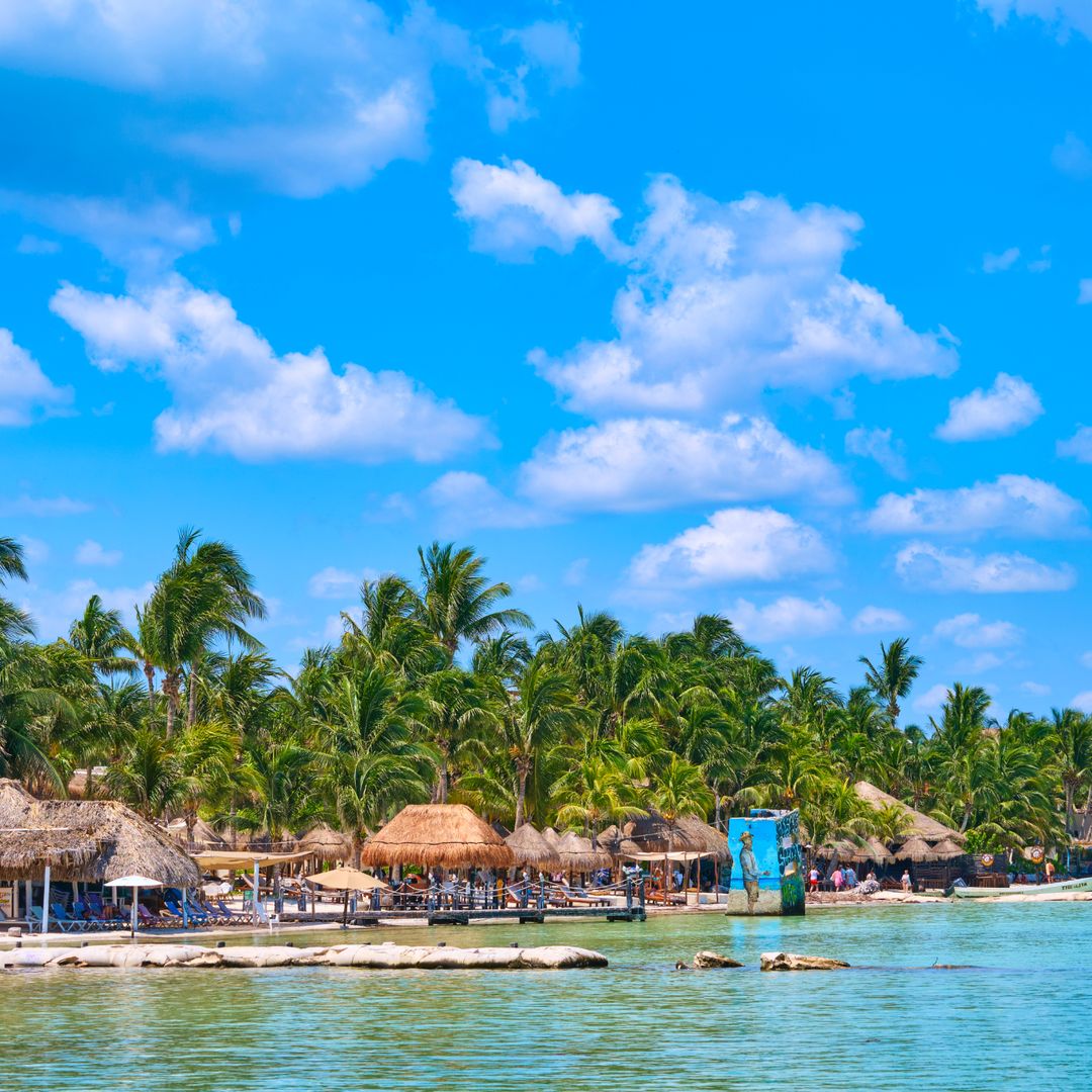 Tiburones ballena, aguas bioluminiscentes y puestas de sol de leyenda: todo lo que hace única a la isla de Holbox