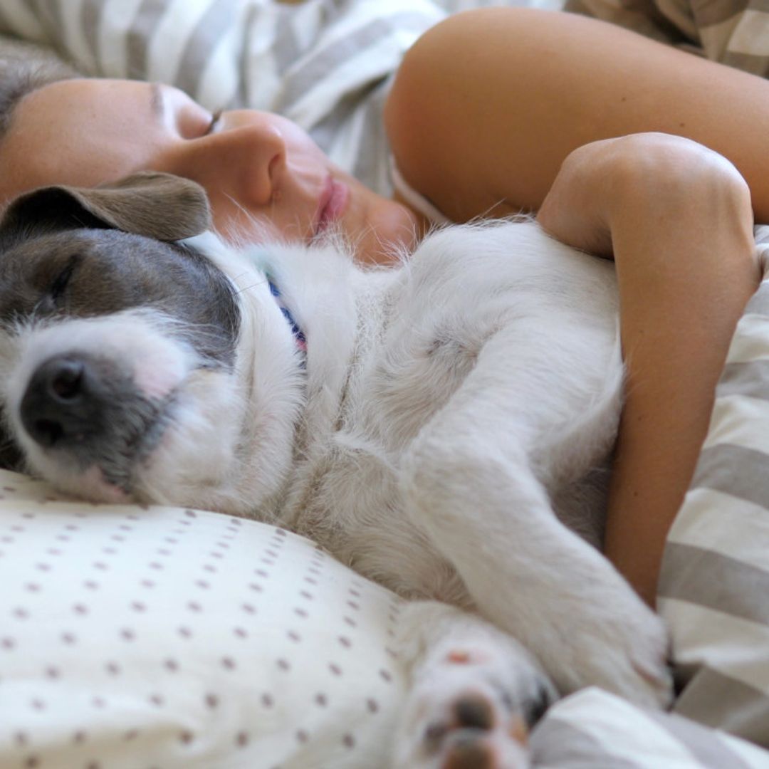 Dormir con tu perro no es tan bueno como crees