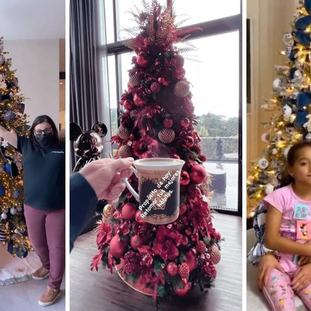 Ximena Duque, Maluma, Adamari López... ¡Las celebridades ya pusieron su árbol de Navidad!