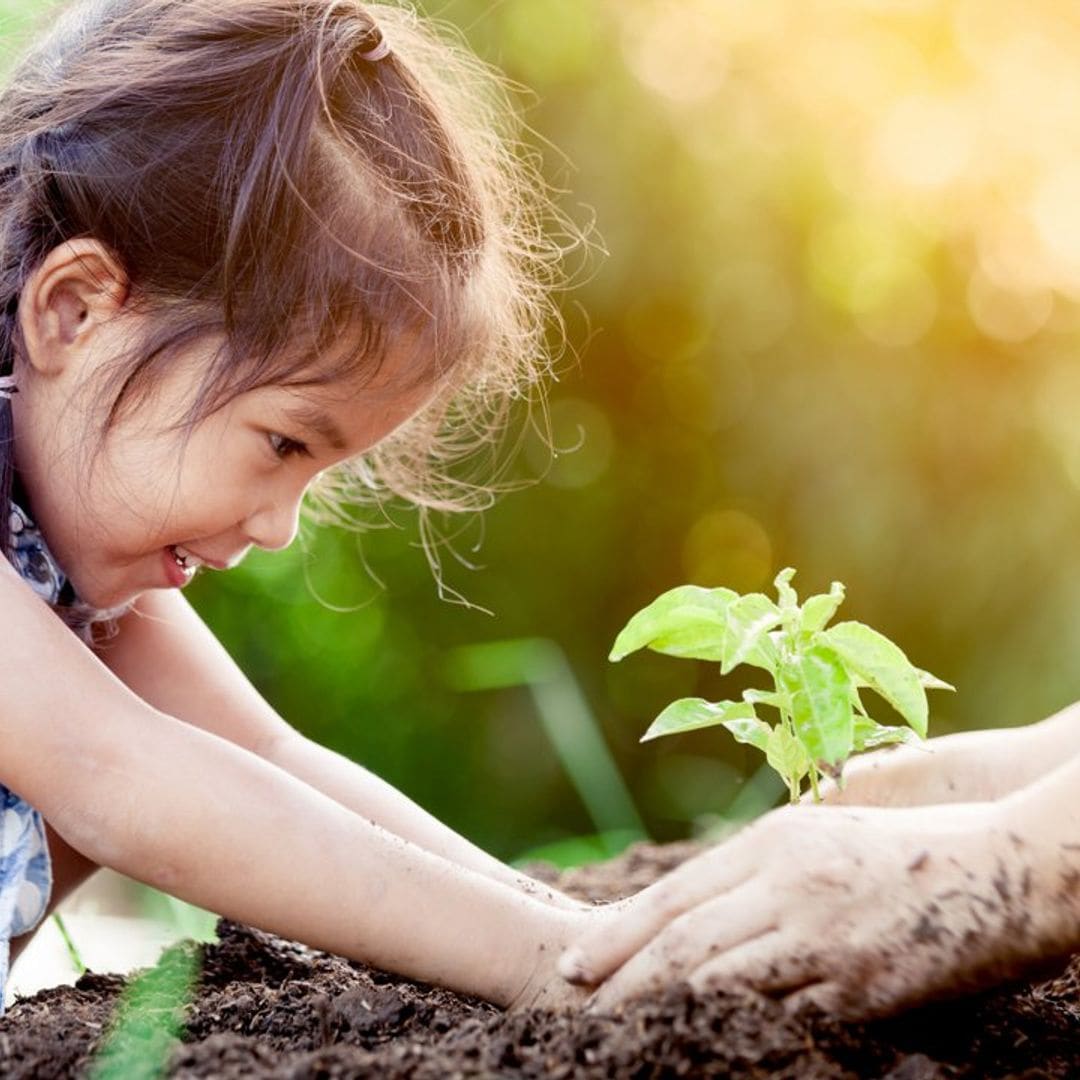 Tener espacios verdes en los colegios mejora la salud física y emocional de los niños