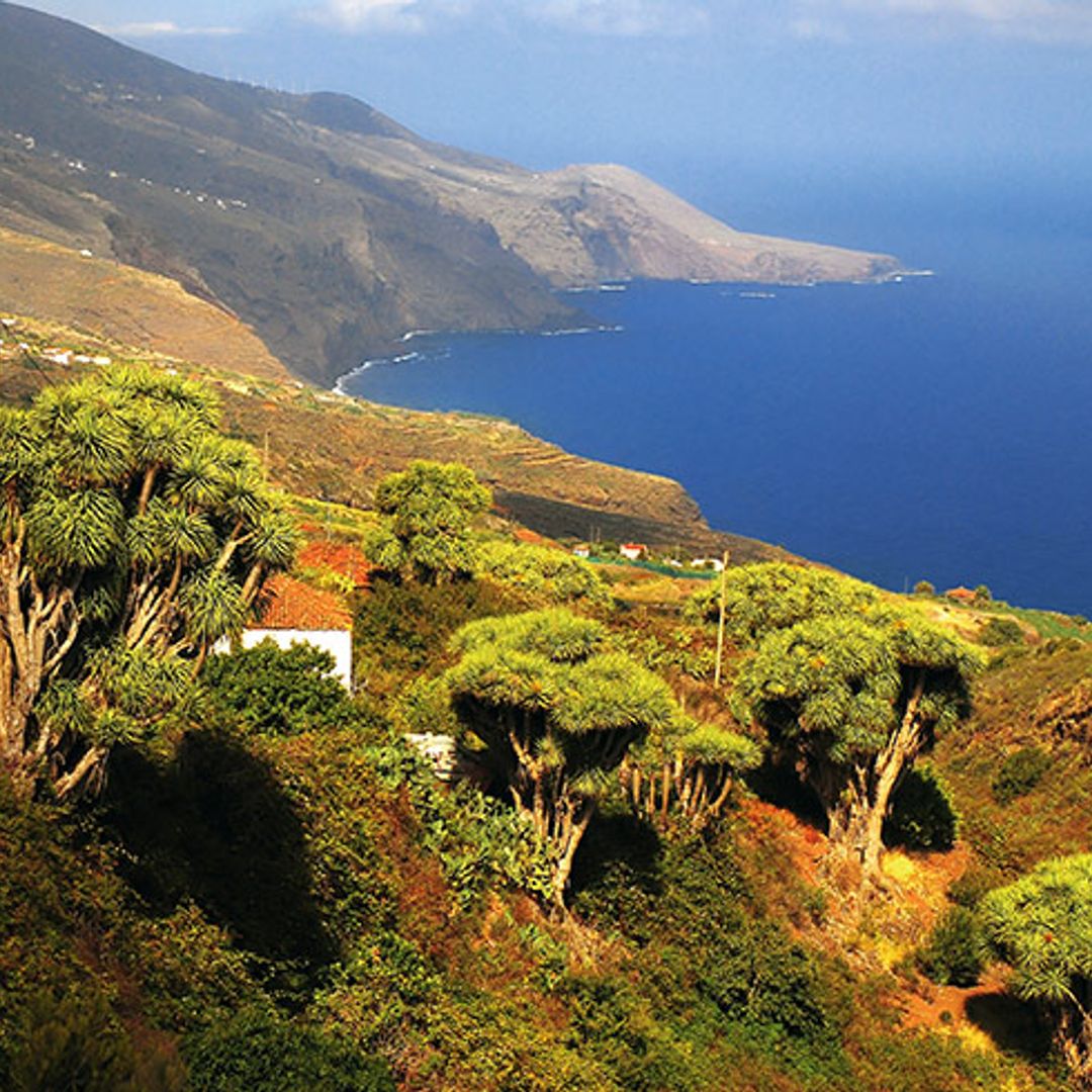 Planes imprescindibles en La Palma