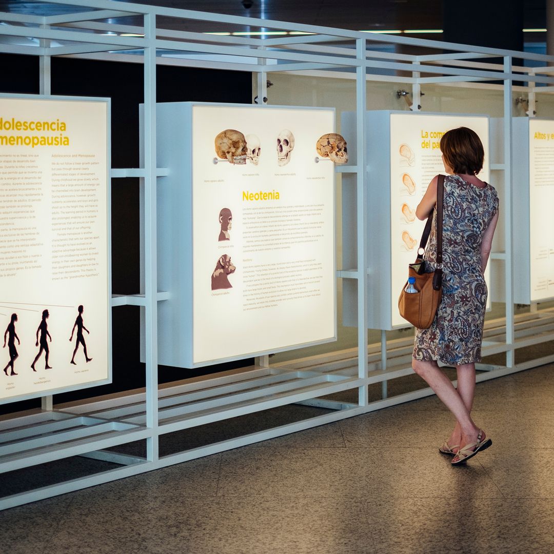 Museo de la Evolución Humana de Burgos
