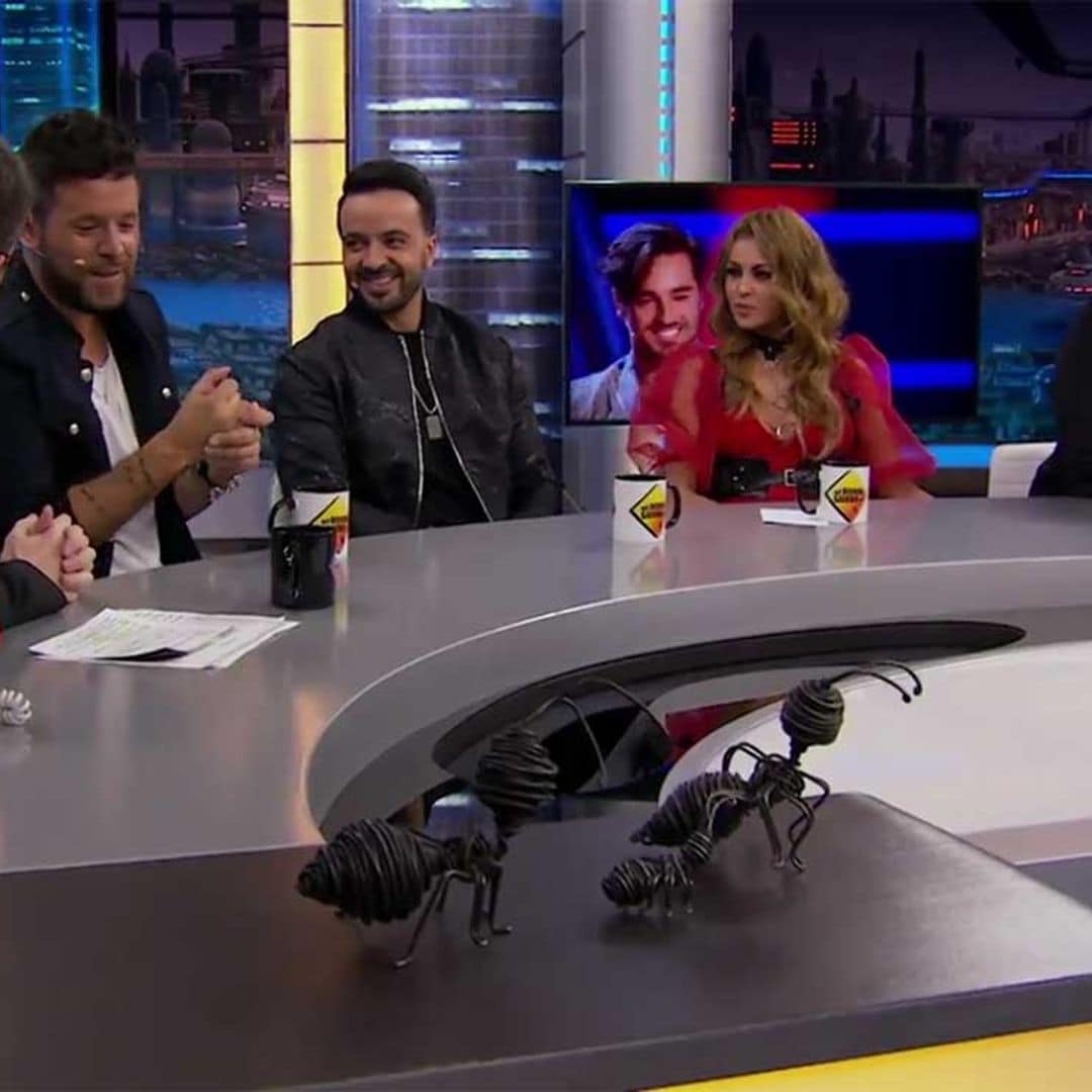 Los 'coaches' de 'La Voz' revelan cómo son sus fiestas en casa de Pablo López