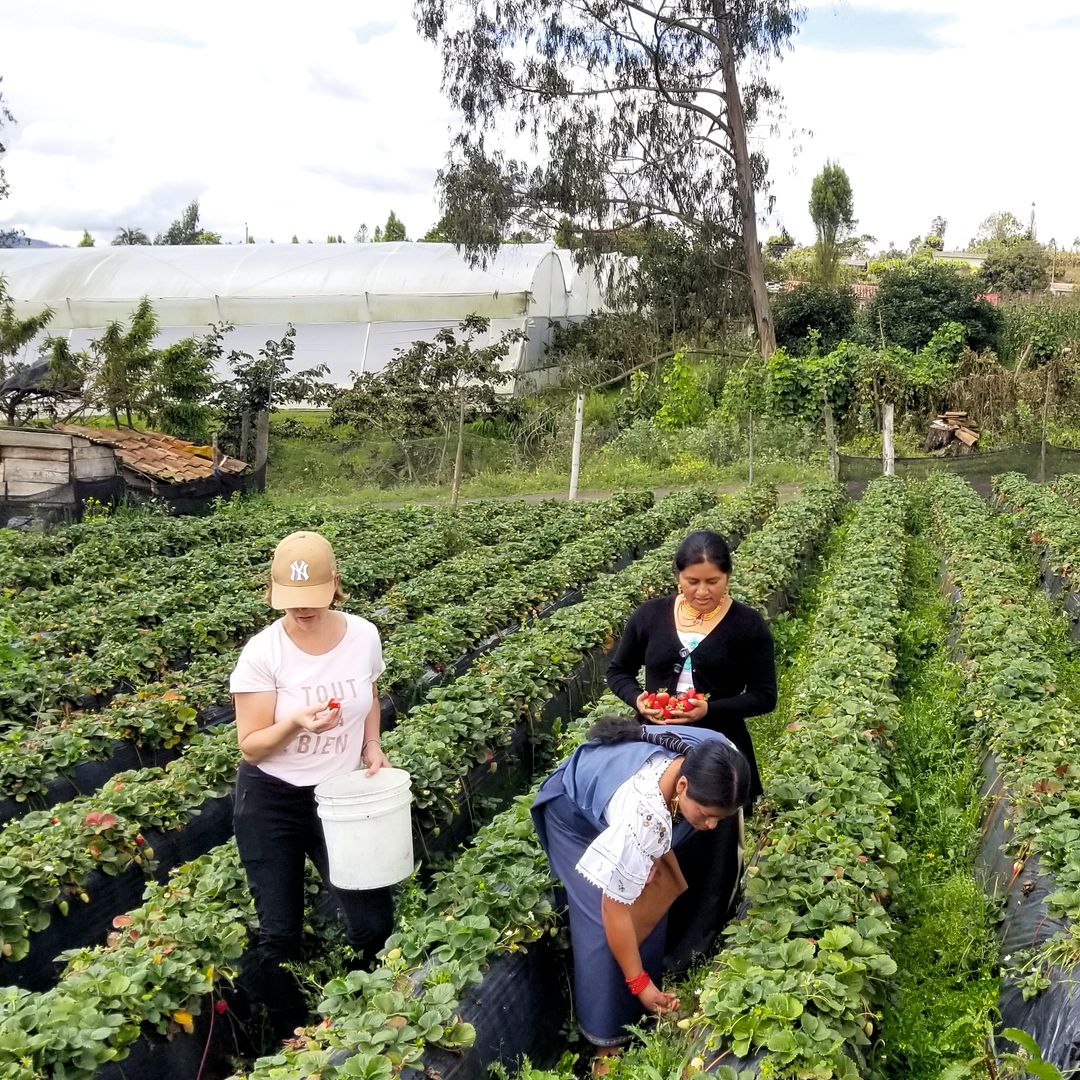Proyecto solidario de la ONG Quichua Tours en Ecuador