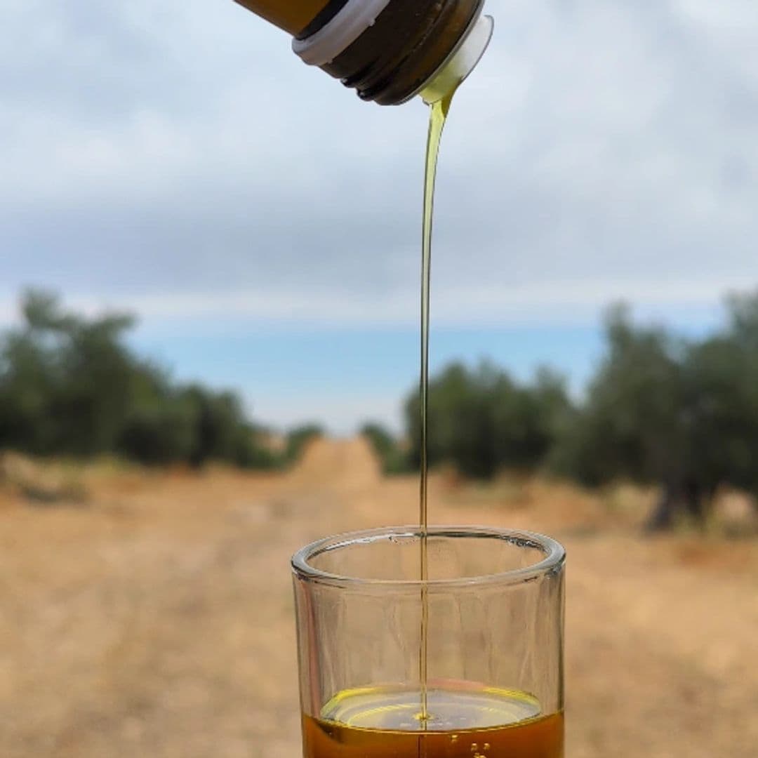 Podrás realizar una cata de aceite para aprender a distinguir aromas, sabores y texturas. ¿Alguien da más?