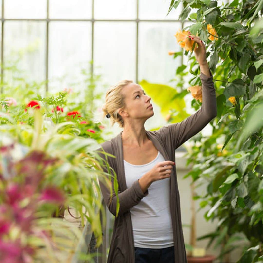 Remedios caseros para unas plantas más bonitas