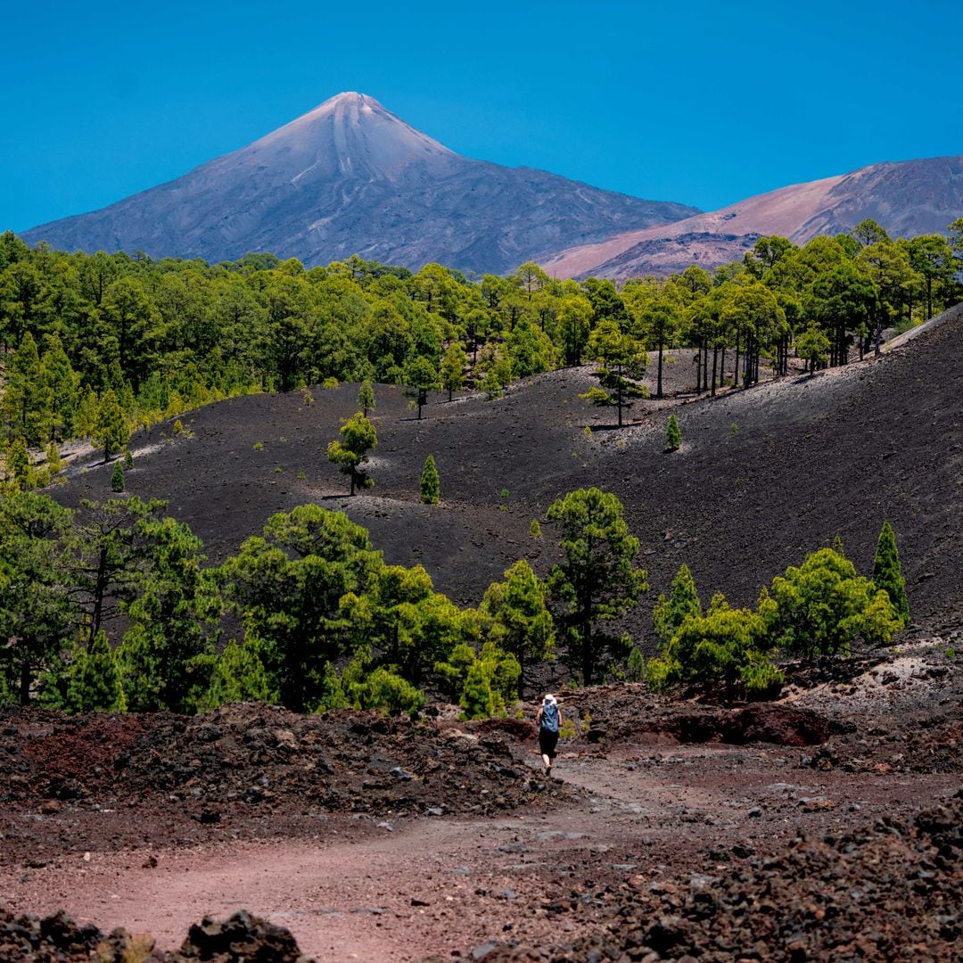 No todo es el Teide: la otra aventura volcánica menos conocida, pero de visita obligada en Tenerife