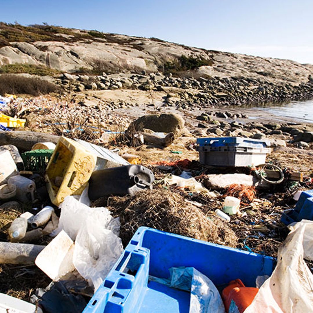 Buceando entre plásticos: las imágenes más escalofriantes del fondo marino