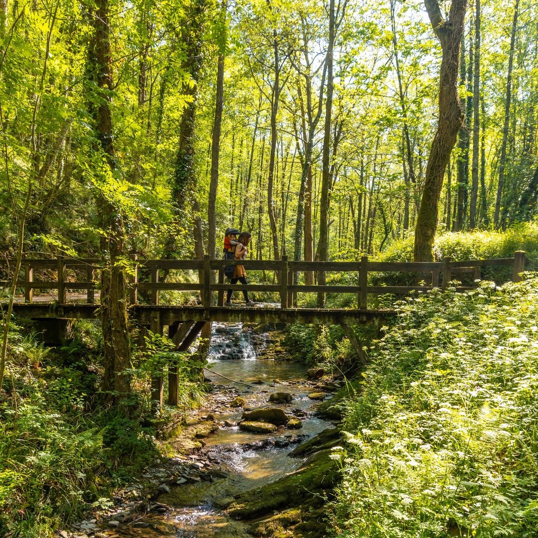 Parque Natural de Pagoeta, Guipúzcoa