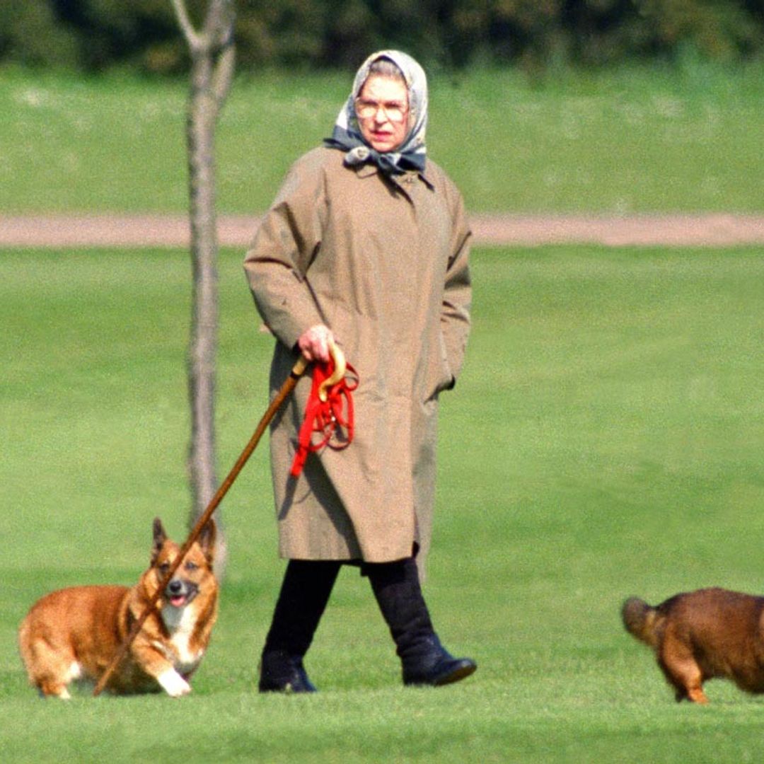 ¿Quién se quedará con los queridos corgis de la reina Isabel?