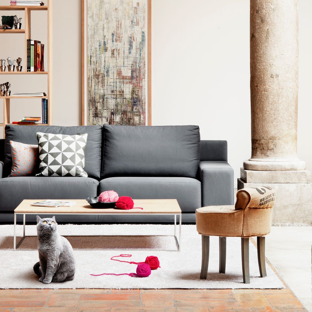 Así puedes hacer que tu casa sea un auténtico hogar 'pet-friendly': 12 ideas claves