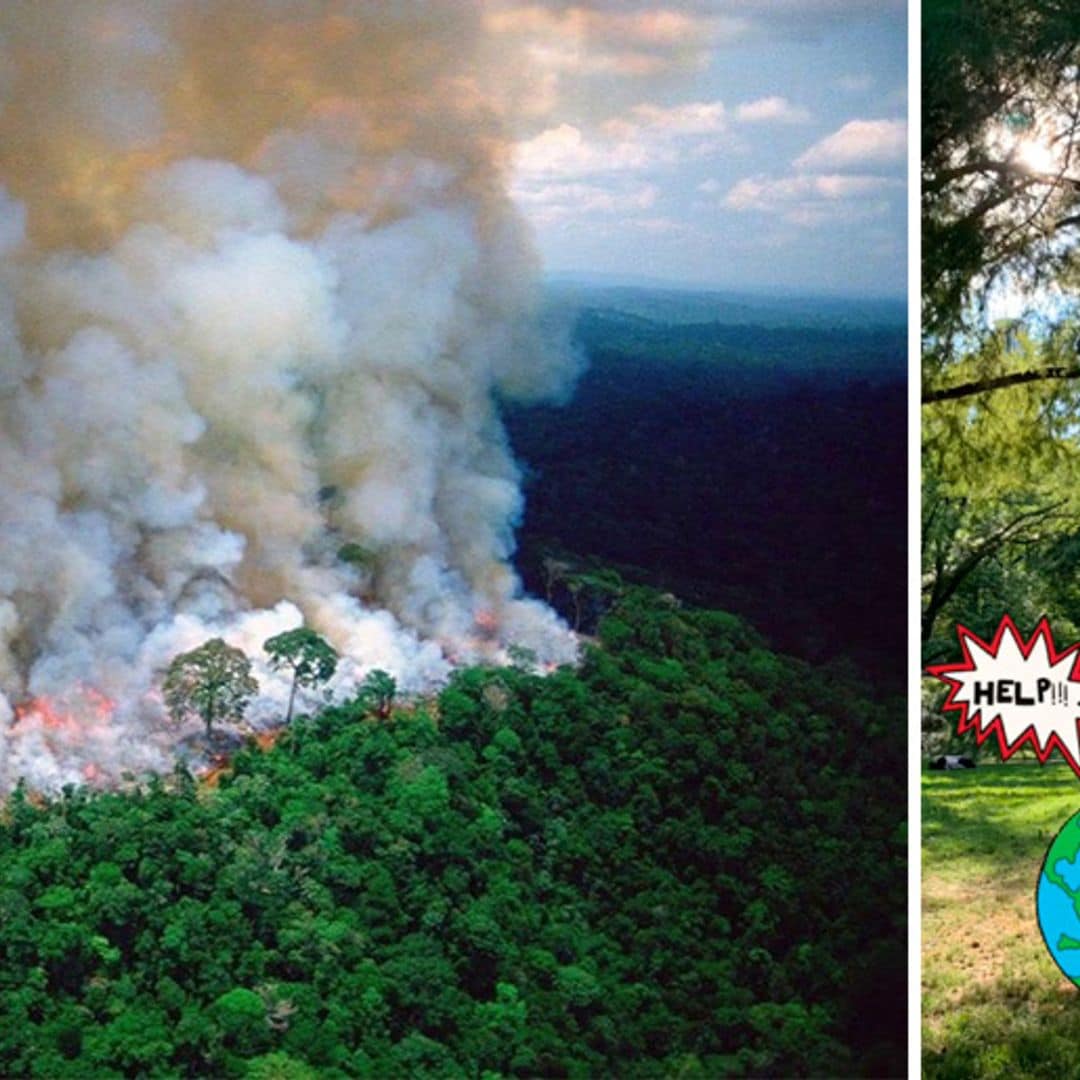 Incendios en Amazonas preocupan a las celebridades y buscan acciones a favor del medio ambiente