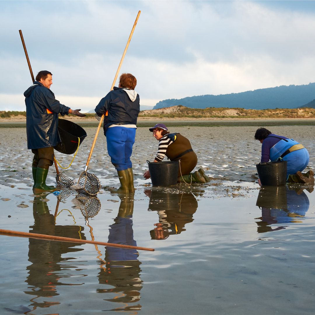 Mariscadoras de Bergantiños, A Coruña