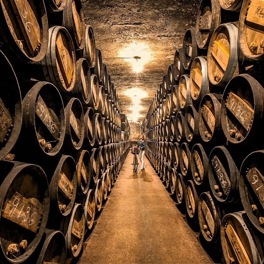 La Rioja: cata de vino y arte por la campiña