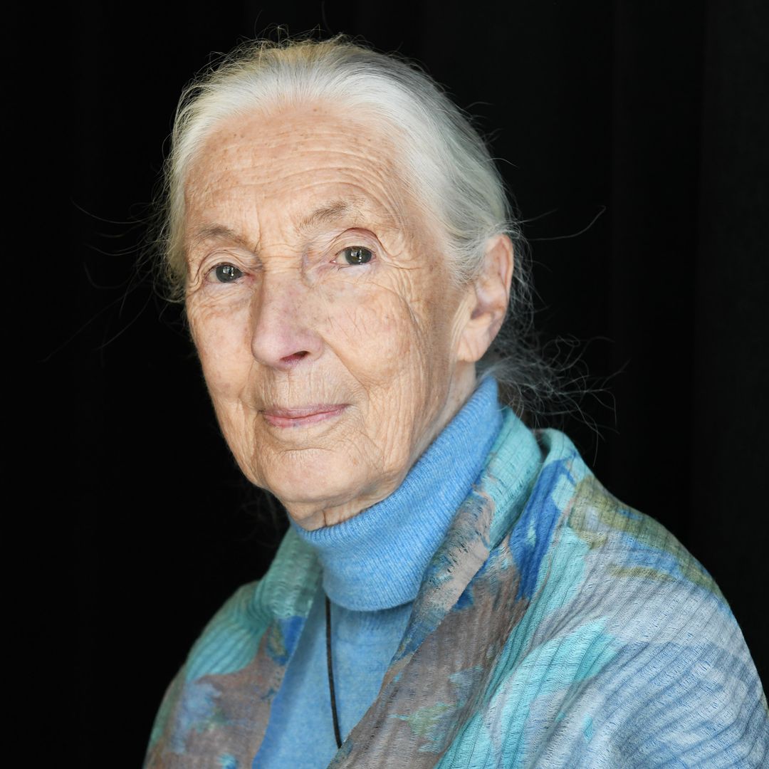 4 lecciones que nos dejó Jane Goodall para un estilo de vida más sostenible