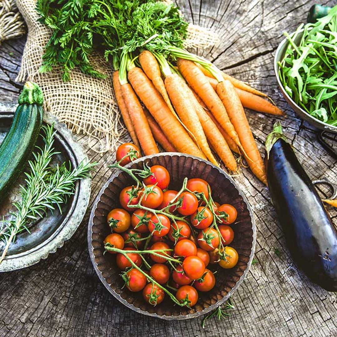 ¿Qué verduras y hortalizas debo plantar en primavera?