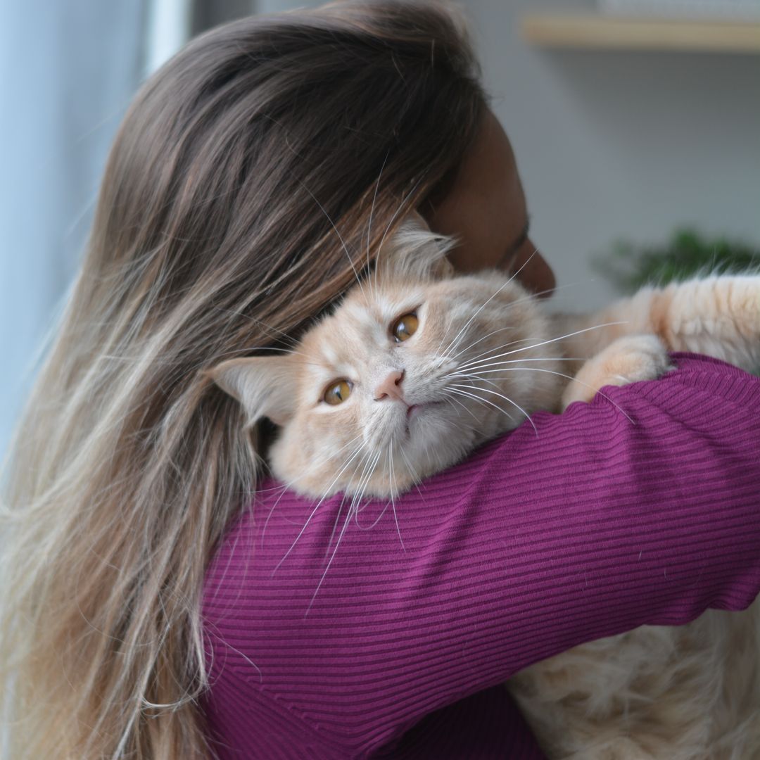 Lo que ocurre en tu cerebro cuando acaricias un gato, según una experta en gatoterapia