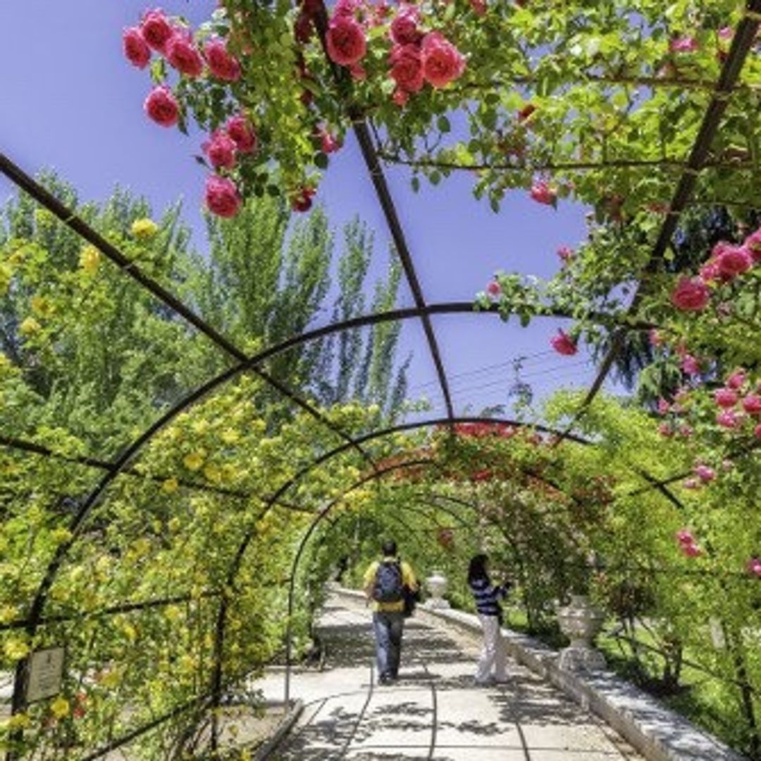 La primavera llega cargada de planes irresistibles: paseos entre rosas, un tren lleno de fresas, la Noche de los Museos y mucho arte
