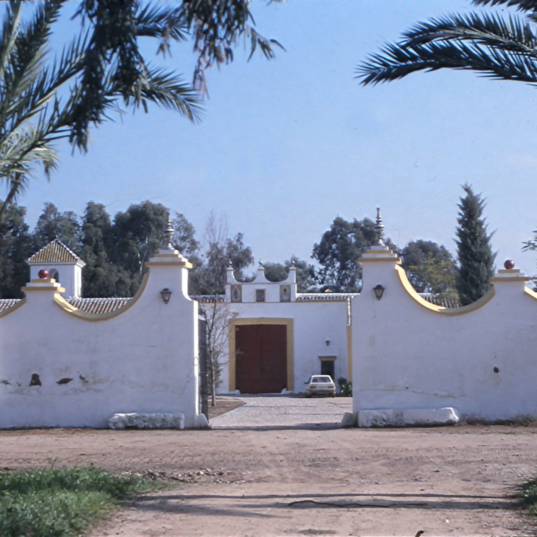 La Pizana, la finca sevillana vinculada desde el siglo XVIII a la Casa de Alba, es propiedad de Eugenia Martínez de Irujo, 