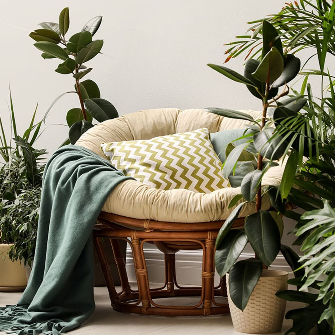7 plantas para cultivar en casa que te ayudan a combatir el estrés