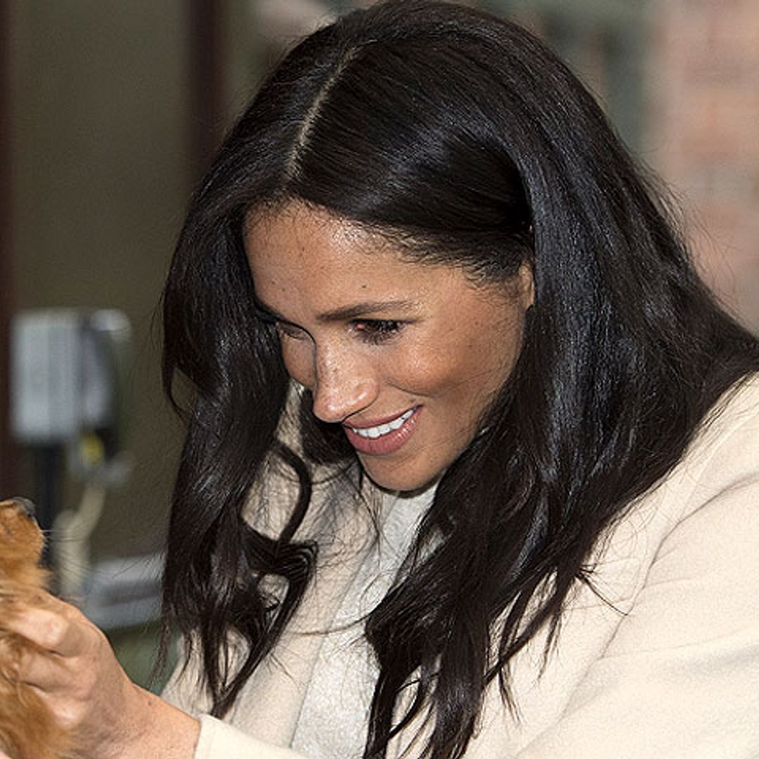 ¡Sin poder parar de acariciarlos! Meghan deja de lado el protocolo y evidencia su amor por los perros