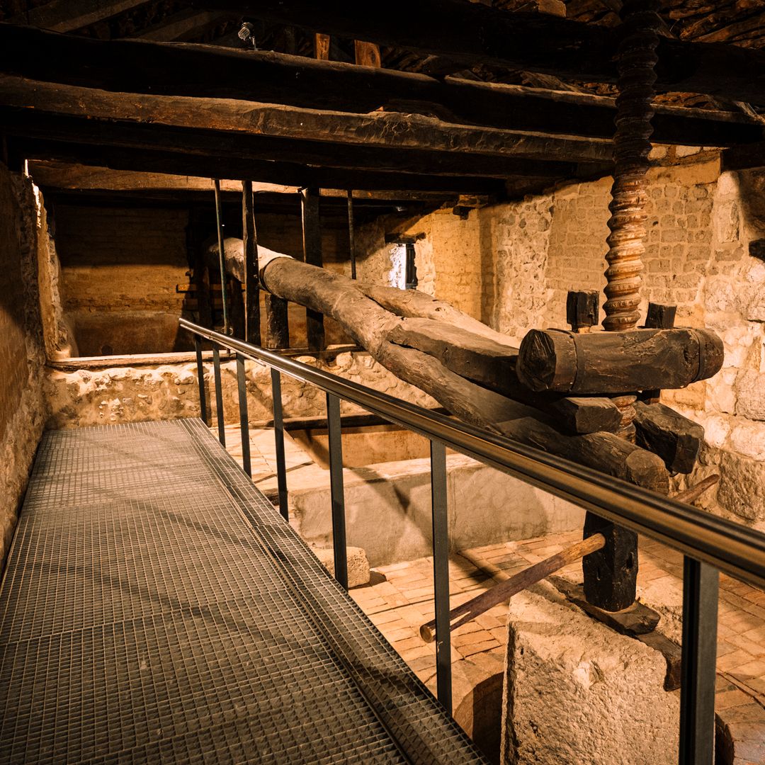Lagar de Tinto Pesquera, Peñafiel, Valladolid