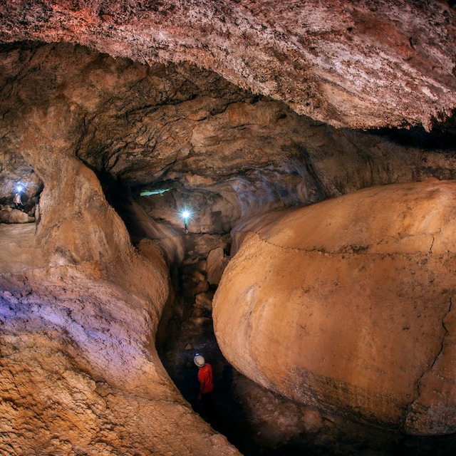Cueva del Viento, Icod de los Vinos, Tenerife