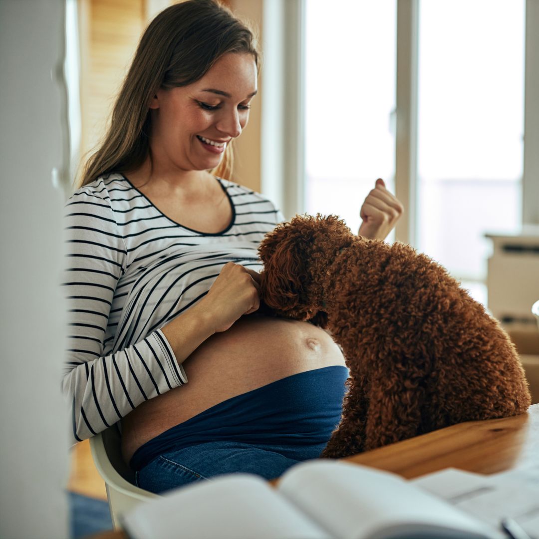 Dra. Cristina Redondo, obstetra: “Las mascotas pueden transmitir algunas enfermedades durante el embarazo"